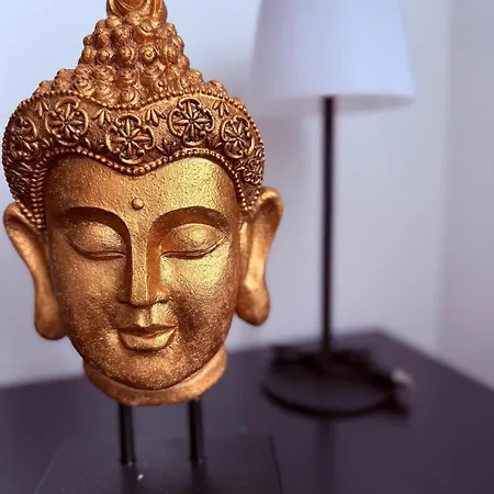 Solea Friedrichshafen