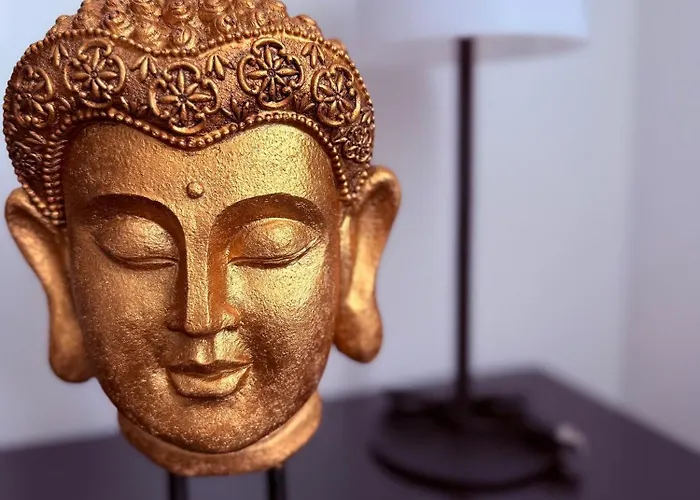 Solea Friedrichshafen